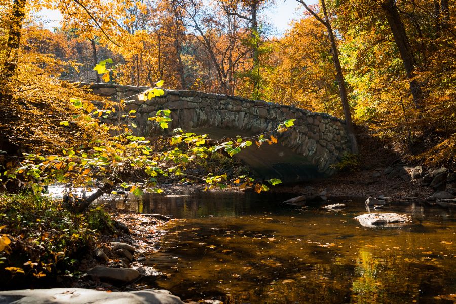Rock Creek Park in Fall